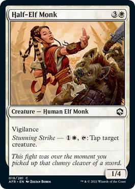 Half-Elf Monk [Adventures in the Forgotten Realms] 19
