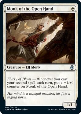 Monk of the Open Hand [Adventures in the Forgotten Realms] 25