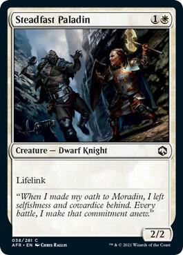 Steadfast Paladin [Adventures in the Forgotten Realms] 38