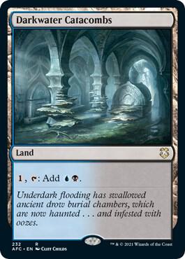 Darkwater Catacombs [Commander: Adventures in the Forgotten Realms] 232