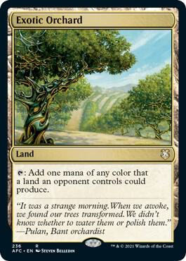 Exotic Orchard [Commander: Adventures in the Forgotten Realms] 236