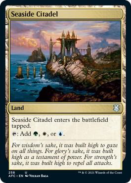 Seaside Citadel [Commander: Adventures in the Forgotten Realms] 258