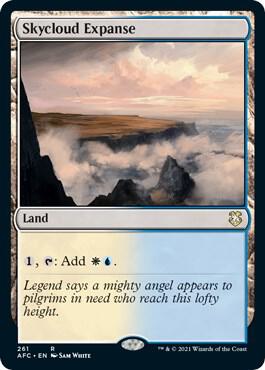 Skycloud Expanse [Commander: Adventures in the Forgotten Realms] 261