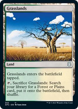 Grasslands [Commander: Adventures in the Forgotten Realms] 242