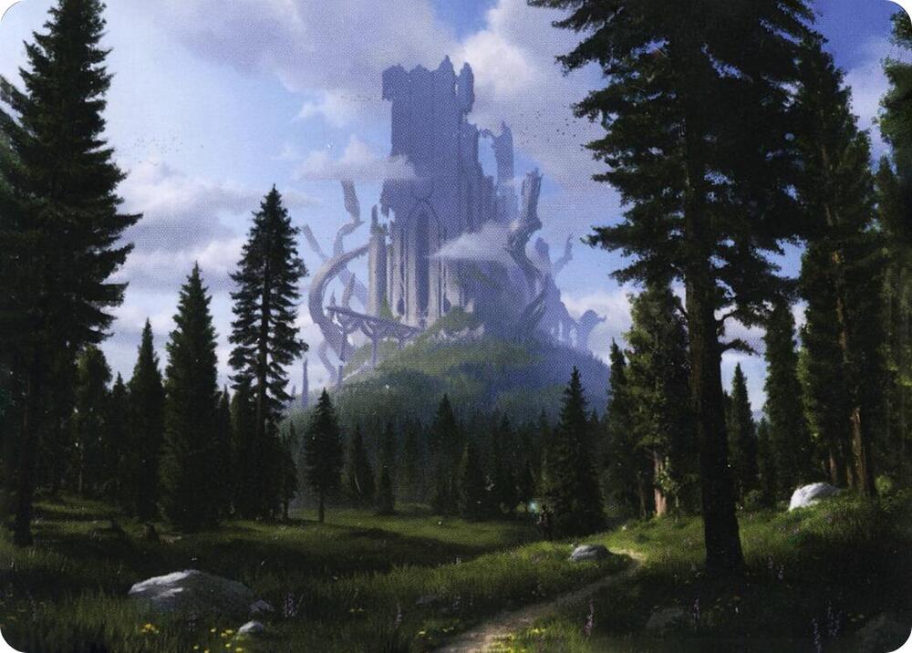 Forest (61/81) Art Card [Art Series: Adventures in the Forgotten Realms] 61