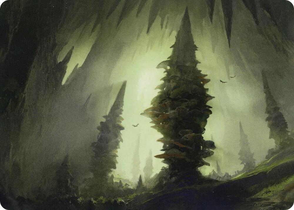 Forest (55/81) Art Card [Art Series: Adventures in the Forgotten Realms] 55