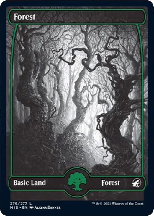 Forest (276) [Innistrad: Midnight Hunt] 276