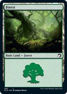 Forest (384) [Innistrad: Midnight Hunt] 384