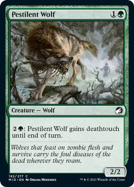 Pestilent Wolf [Innistrad: Midnight Hunt] 192