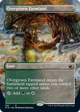 Overgrown Farmland (Borderless) [Innistrad: Midnight Hunt] 283