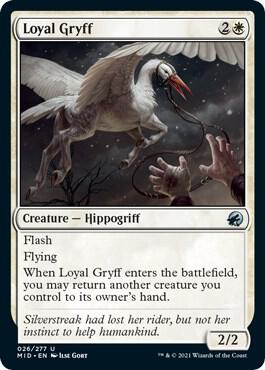 Loyal Gryff [Innistrad: Midnight Hunt] 26