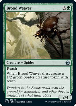 Brood Weaver [Innistrad: Midnight Hunt] 173