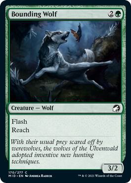 Bounding Wolf [Innistrad: Midnight Hunt] 170