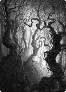 Forest Art Card (80/81) [Art Series: Innistrad: Midnight Hunt] 80
