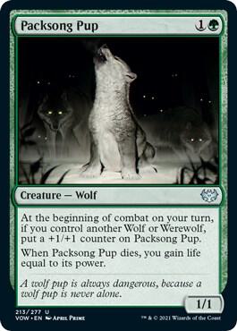 Packsong Pup [Innistrad: Crimson Vow] 213