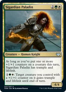 Sigardian Paladin [Innistrad: Crimson Vow] 247
