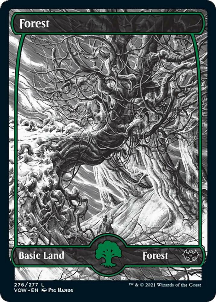 Forest (276) [Innistrad: Crimson Vow] 276