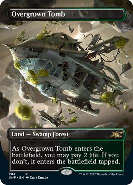 Overgrown Tomb (Borderless) [Unfinity] 284