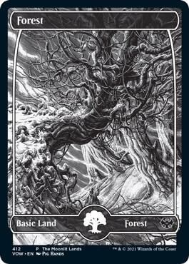 Forest (Moonlit Land) (Foil Etched) [WPN & Gateway Promos] 412