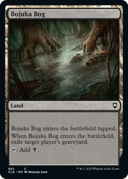 Bojuka Bog [Commander Legends: Battle for Baldur's Gate] 882
