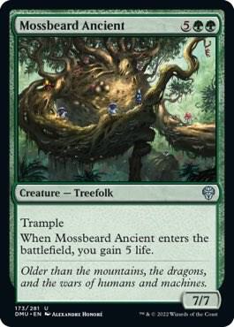 Mossbeard Ancient [Dominaria United] 173