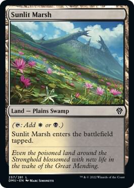 Sunlit Marsh [Dominaria United] 257