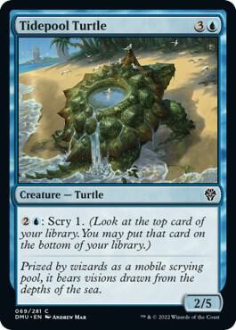 Tidepool Turtle [Dominaria United] 69