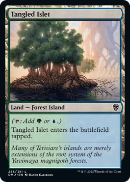 Tangled Islet [Dominaria United] 258