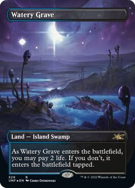 Watery Grave (Borderless) (Galaxy Foil) [Unfinity] 529