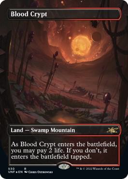 Blood Crypt (Borderless) (Galaxy Foil) [Unfinity] 530