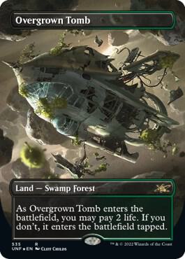 Overgrown Tomb (Borderless) (Galaxy Foil) [Unfinity] 535