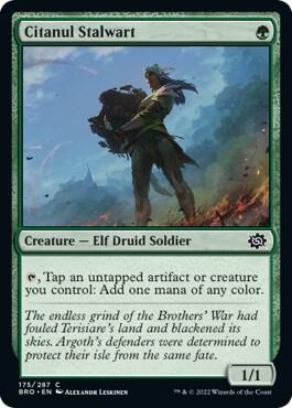 Citanul Stalwart [The Brothers' War] 175