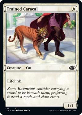 Trained Caracal [Jumpstart 2022] 256