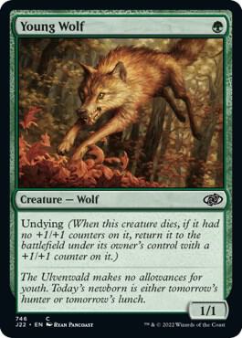 Young Wolf [Jumpstart 2022] 746