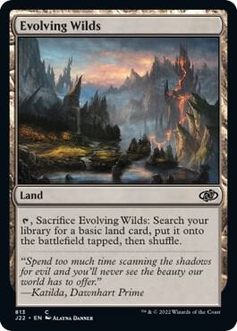 Evolving Wilds [Jumpstart 2022] 813