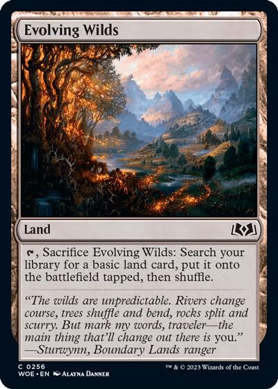 Evolving Wilds [Wilds of Eldraine] 256