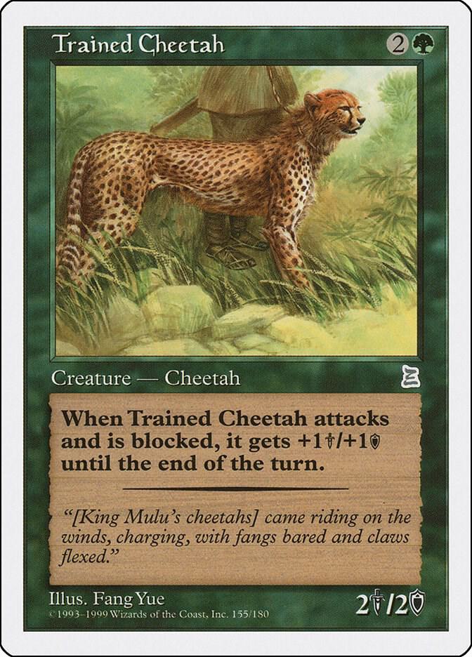 Trained Cheetah [Portal Three Kingdoms] 155