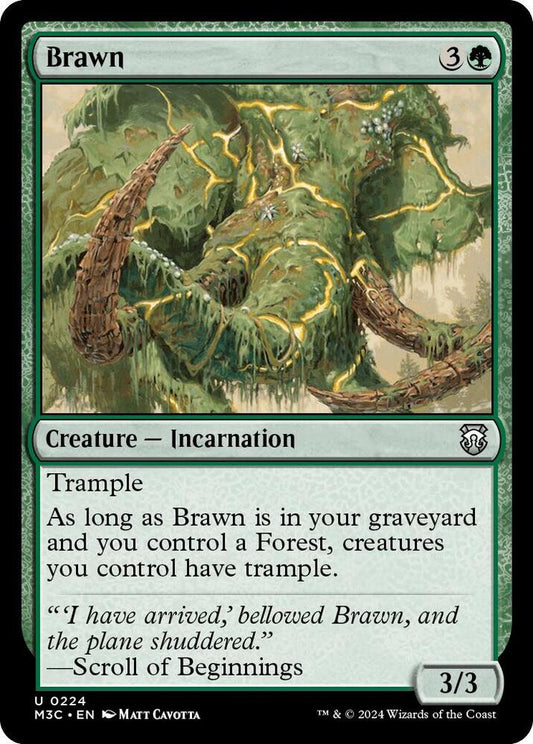 Brawn (Ripple Foil) [Commander: Modern Horizons 3] 224