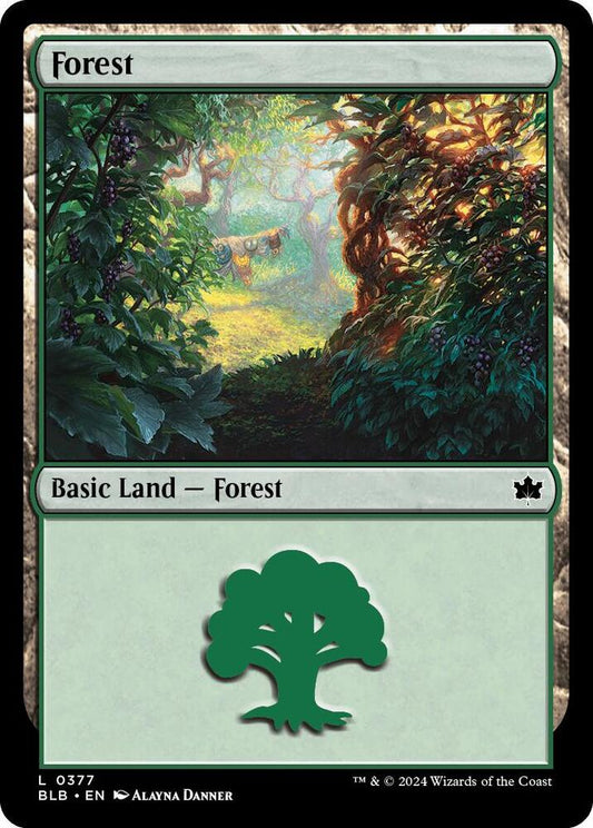 Forest (0377) [Bloomburrow] 377
