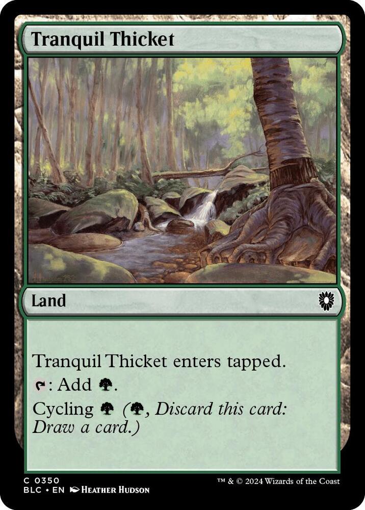 Tranquil Thicket [Commander: Bloomburrow] 350