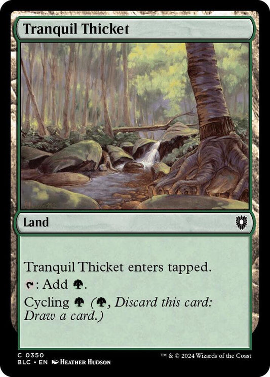Tranquil Thicket [Commander: Bloomburrow] 350