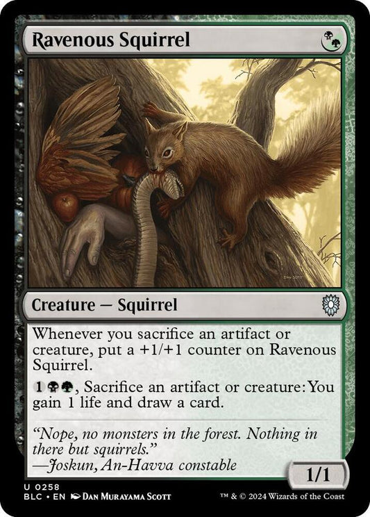 Ravenous Squirrel [Commander: Bloomburrow] 258