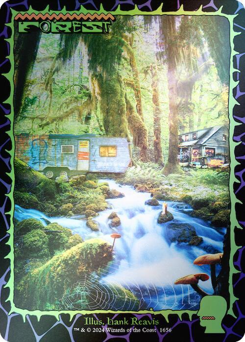Forest (1656) (Rainbow Foil) [Secret Lair Drop Series] 1656