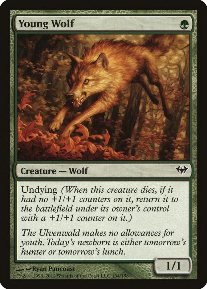 Young Wolf [Dark Ascension] 134