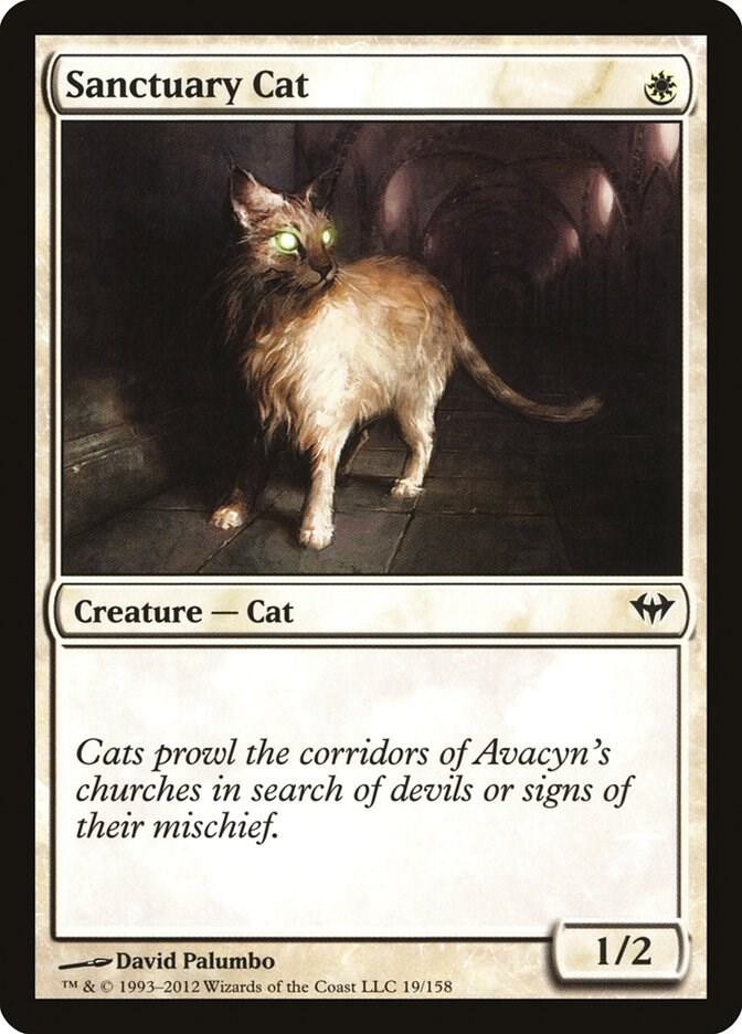 Sanctuary Cat [Dark Ascension] 19