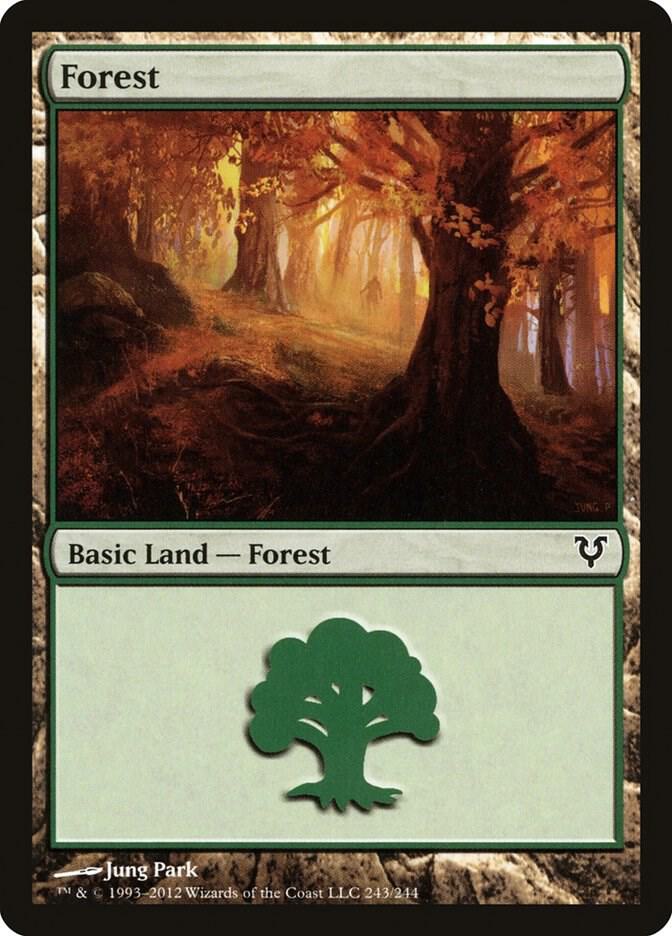 Forest (243) [Avacyn Restored] 243