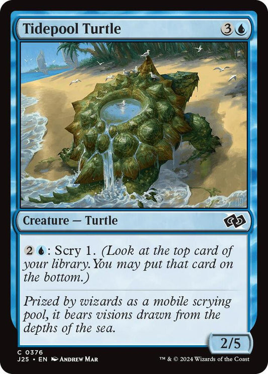 Tidepool Turtle [Foundations Jumpstart] 376