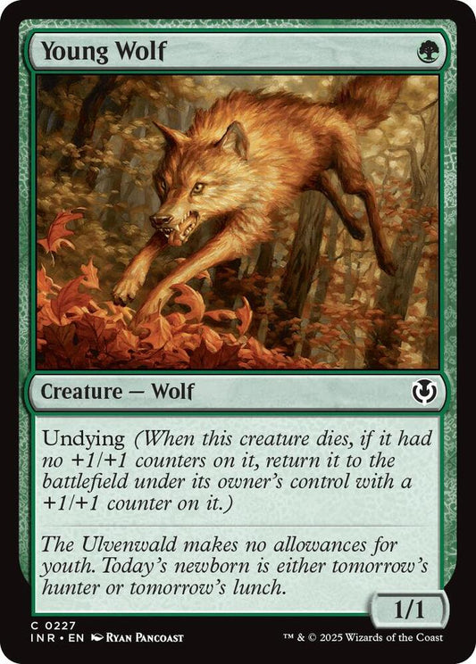 Young Wolf [Innistrad Remastered] 227