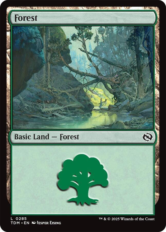 Forest (0285) [Tarkir: Dragonstorm] 285