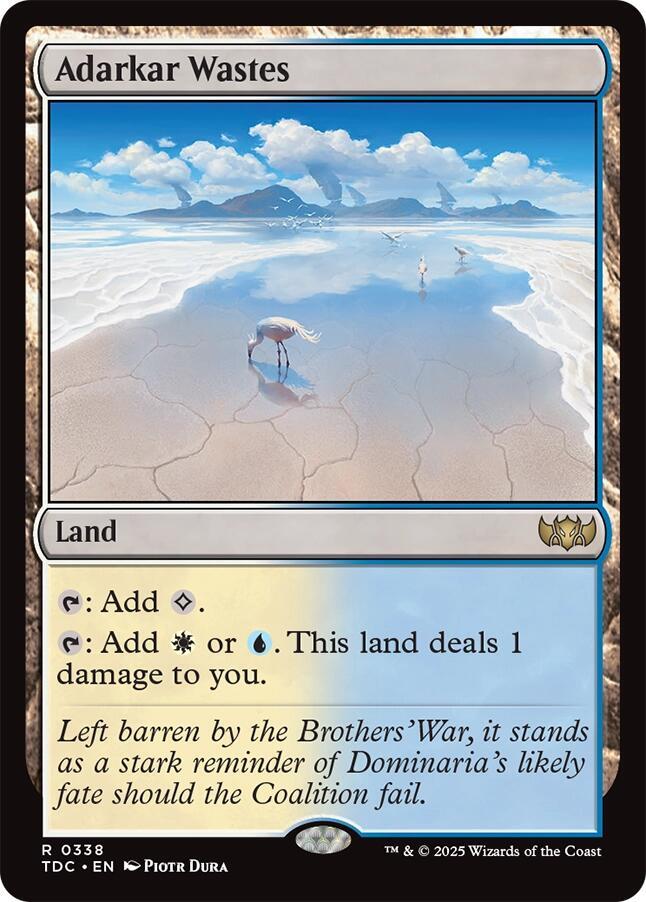 Adarkar Wastes [Commander: Tarkir: Dragonstorm] 338